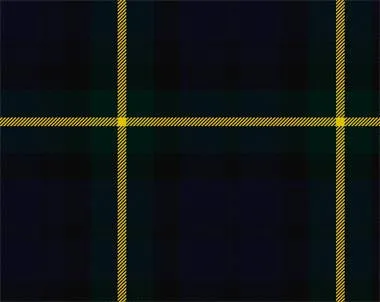 Gordon Modern Light Weight Tartan Shawl