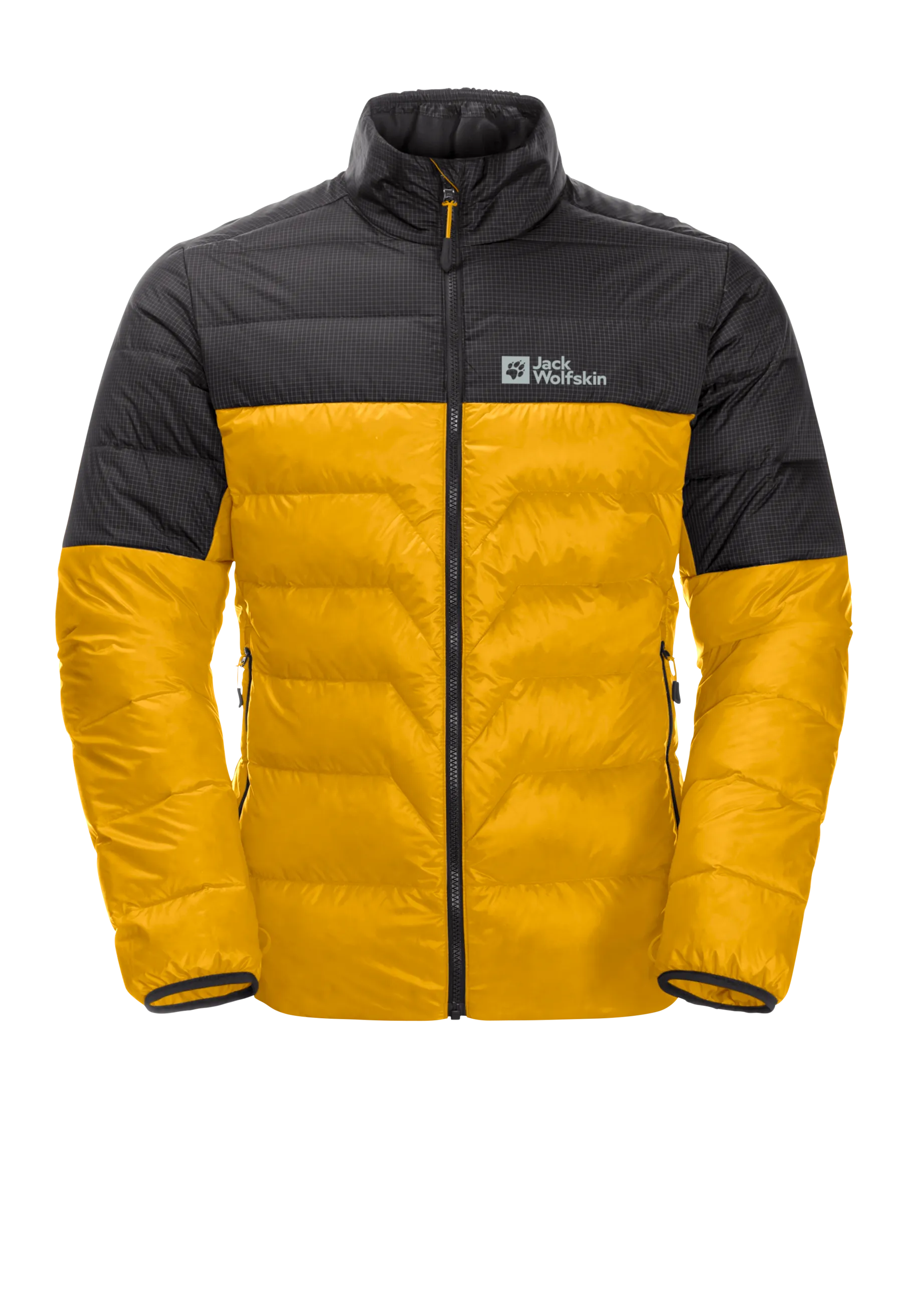 Men’s DNA Tundra Down Jacket