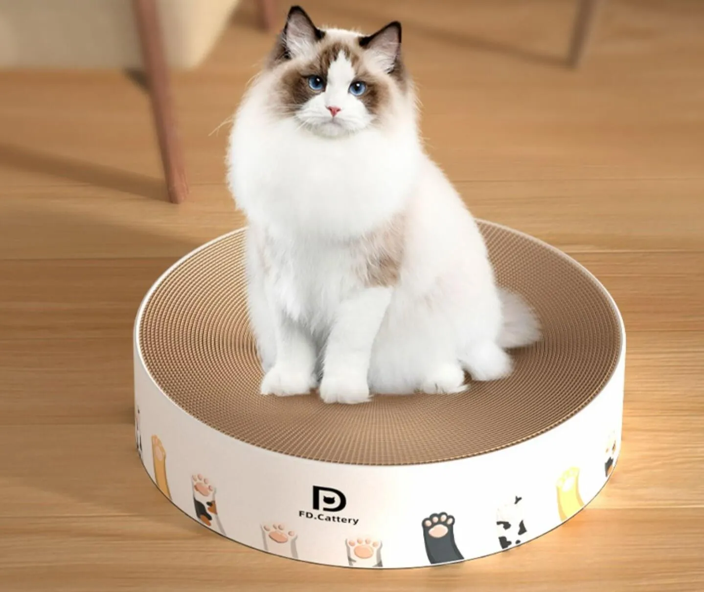 Paw Print Cartoon Cat Scratcher