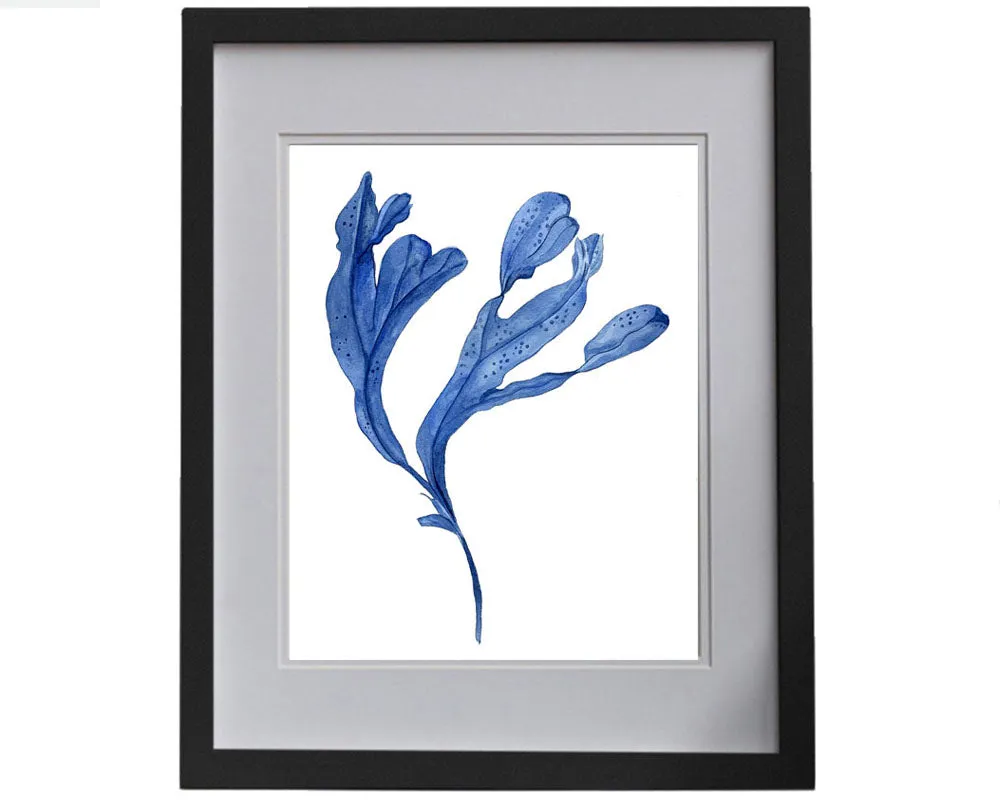 Print of seaweed in blue II