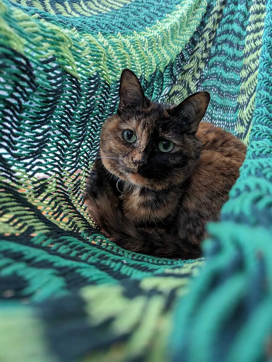 Thick Lounger Hammock - Rainforest